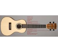 Kala Solid Spruce Top Concert UKE Flamed SPAL Ted Map with Concert Case (UC C)