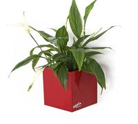 KalaMitica - Cubo Magnetico Porta Oggetti e Porta Vasi, Contenitore Organizer per Lavagna Magnetica da Parete, Frigo e Superfici Metalliche - 9,5 x 9,5 x 9,8 cm - Rosso