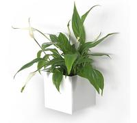KalaMitica - Cubo Magnetico Porta Oggetti e Porta Vasi, Contenitore Organizer per Lavagna Magnetica da Parete, Frigo e Superfici Metalliche - 9,5 x 9,5 x 9,8 cm - Bianco