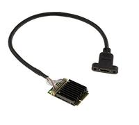 Carta Grafica HDMI 1080p Mpcie Mini Pcie Full Size - Chip Silicone Motion SM750