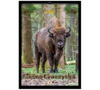 Kalendarz 2026 A2 Ścienny Jednostronny Uroczyska Polski Kalendarz 2026 Organizer Terminarz Datownik