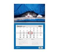 Kalendarz 2026 Jednodzielny Kot