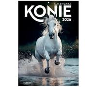 Kalendarz 2026 ścienny A4 Konie