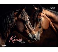 Kalendarz 2026 ścienny albumowy Konie KA-10