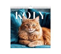 Kalendarz 2026 ścienny kwadrat Koty