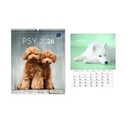Kalendarz 2026 Ścienny Planszowy 33,5X40Cm Psy Polski Kalendarz 2026 Organizer Terminarz Datownik