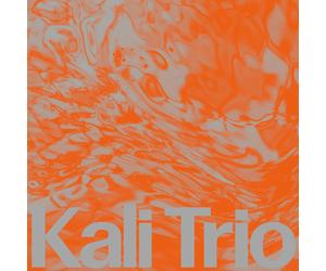 KALI Trio The Playful Abstract (CD) Album