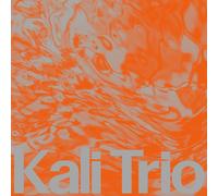 KALI Trio The Playful Abstract (Vinyl LP) 12" Album