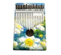 Kalimba Professionale Pianoforte Da Dita Kalimba A 17 Note Guida Per Principianti Alla Pittura Con Pianoforte(6)