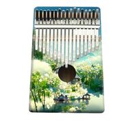 Kalimba Professionale Pianoforte Da Dita Kalimba A 17 Note Guida Per Principianti Alla Pittura Con Pianoforte(12)