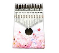 Kalimba Professionale Pianoforte Da Dito Kalimba A 17 Note Guida Per Principianti Alla Pittura(9)