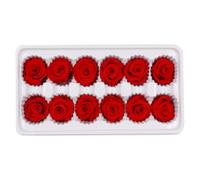 KALLORY Fiore Immortale Rosso Eterno 3-4 Cm Confezione 1 Box Bouquet di Rose Stabilizzate per Decorare la Camera da Letto lo Studio senza Allergie
