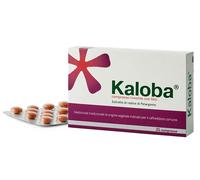 Kaloba 21 Compresse Raffreddore