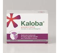 Kaloba granulato 21bustine 800mg