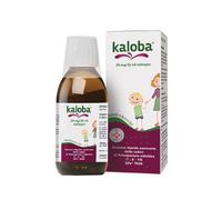 kaloba® sciroppo 100 ml Sciroppo