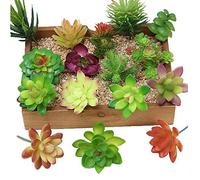 Kalolary 16 piante grasse artificiali, piante grasse floreali, mini non potted Decor steli misti, piante false, diverse scelte di compleanno, decorazione per la casa, per interni, giardino, hotel, 16