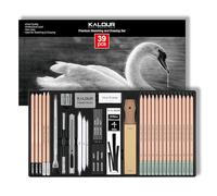 KALOUR PDAS Set di 39 matite da disegno, matite professionali da schizzo (5H-14B), matite a carboncino bianche e nere per schizzi, penne a pennello con gomma, bastoncini di carboncino, set di matite
