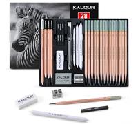 KALOUR Set di 28 matite da disegno professionali per schizzi - 14 matite in grafite (14B-5H), matite a carbone, gomme e temperamatite - Kit artistico completo per artisti e
