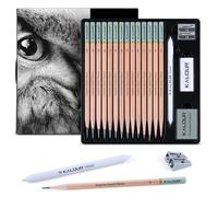 KALOUR Set professionale da 18 pezzi, include matite da 5H a 12B, gomma in vinile, gomma da cancellare, temperamatite e ceppo di miscelazione della carta, ideale per artisti e principianti