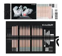 KALOUR Set professionale per schizzi e disegni a carbone, 29 pezzi, forniture artistiche con 14 matite di grafite, strumenti di carbone e borsa in tela