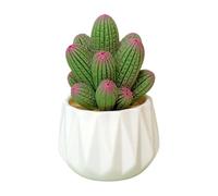 Kalttoy Miniatura di cactus in resina, pianta finta in vaso, decorazione da tavolo per ufficio e casa