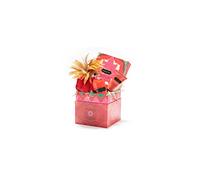 Kama Sutra Treasure Trove Strawberry Dreams Set Red One Size