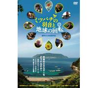 Kamanaka Hitomi - Ashes To Honey [Edizione: Giappone]