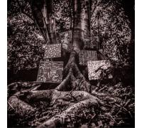 Kamasi Washington Harmony of Difference (CD) EP