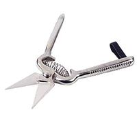 KAMER - Forbici per artigli dentati, 6 cm, in acciaio nichelato