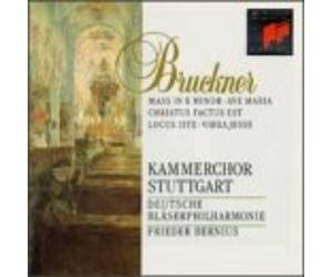 Kammerchor Stut Bruckner: Mass in E Minor/Ave Maria/Christus Factus Est/Loc (CD)