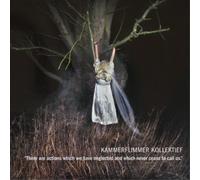 Kammerflimmer Kollektie There Are Actions Which We Have Neglected /.. (Vinyl LP)