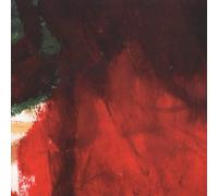 Kammerflimmer Kollektief - Incommunicado