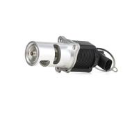 KAMOKA 19009 Valvola EGR per RENAULT Clio III Schrägheck (BR0/1, CR0/1)