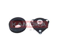 2 x Boccola cilindro KAMOKA per FORD, MAZDA 2, 2 I, FIESTA V, FUSION