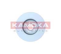 KAMOKA 2x Dischi Freno Anteriore Ventilato Rivestito per BMW 5er Touring E61 E60