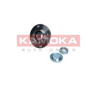 KAMOKA 5500043 Kit cuscinetto ruota per CITROËN,PEUGEOT