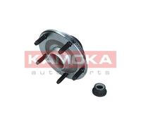 KAMOKA 5500253 Kit cuscinetto ruota per FORD