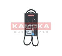 KAMOKA 7016028 Cinghia Poly-V per BMW,FIAT,HONDA