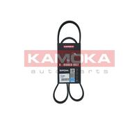 KAMOKA 7016069 Cinghia Poly-V per BMW,CITROËN,DACIA,DS,FIAT,FORD,INFINITI,MITSUB