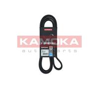 KAMOKA 7016143 Cinghia Poly-V per BMW
