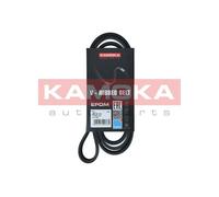 KAMOKA 7016144 Cinghia Poly-V per ALPINA,AUDI,BMW,CHEVROLET,CITROËN,PEUGEOT,SEAT