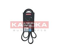 KAMOKA 7016168 Cinghia Poly-V per RENAULT