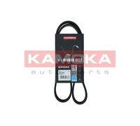 KAMOKA 7017001 Cinghia Poly-V per BMW,INFINITI,NISSAN,RENAULT