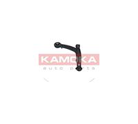 Braccio oscillante Assale anteriore Dx Braccio trasversale oscillante 9050016