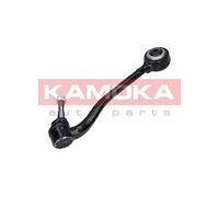 Braccio oscillante Assale anteriore Sx Braccio longitudinale oscillante 9050069