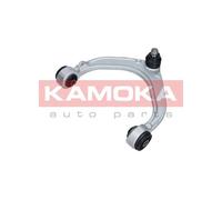 Braccio oscillante Assale anteriore Sx Braccio trasversale oscillante 9050086