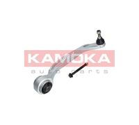 Braccio oscillante Assale anteriore Dx Braccio longitudinale oscillante 9050138