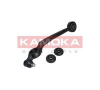 Braccio oscillante Assale anteriore Sx Braccio longitudinale oscillante 9050140