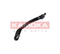 Braccio oscillante Assale anteriore Dx Braccio longitudinale oscillante 9050163