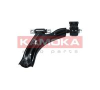 Braccio oscillante Assale anteriore Sx Braccio trasversale oscillante 9050313